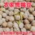 生鹰嘴豆新疆鹰嘴豆***新疆直发新疆正宗鹰嘴豆生豆干豆推荐