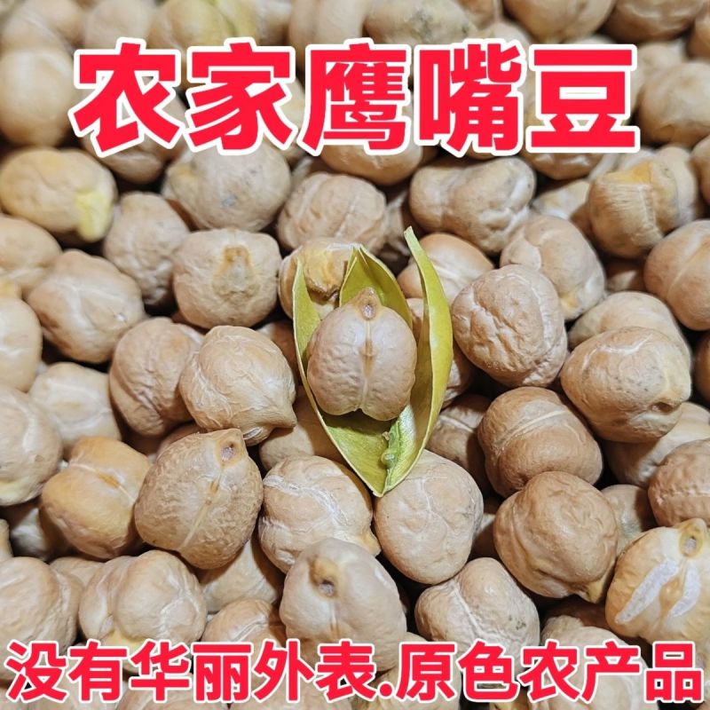 生鹰嘴豆新疆鹰嘴豆***新疆直发新疆正宗鹰嘴豆生豆干豆推荐