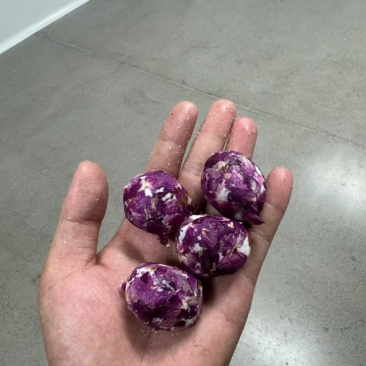 代发快递，新疆枣，灰枣骏枣，蒸枣，玫瑰奶枣元气姜枣