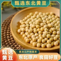 【讷粮优选】6斤黄豆黑龙江非转基因高蛋白生豆芽打豆浆豆批发