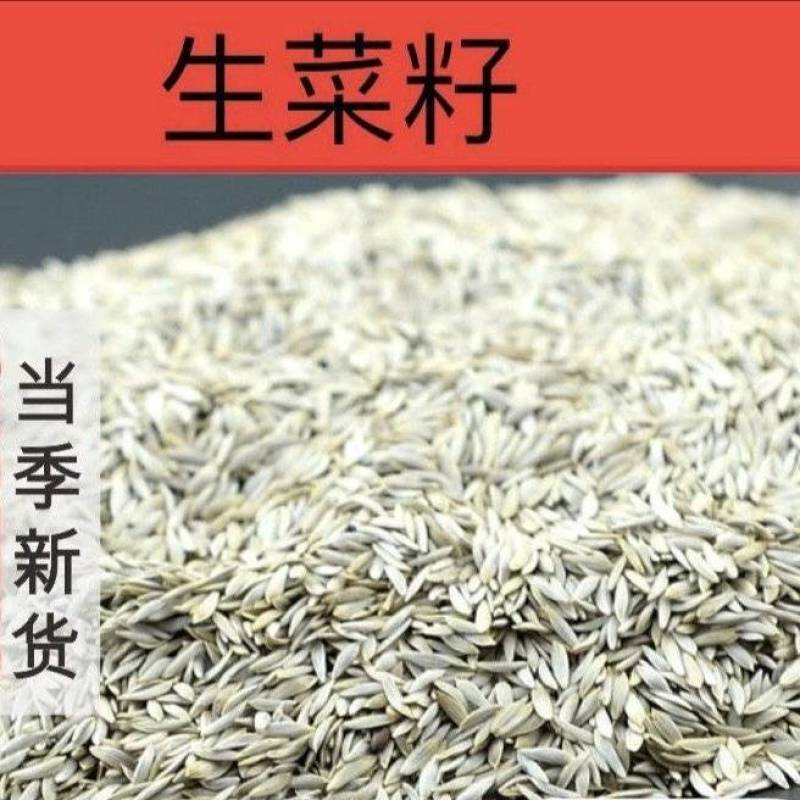 生菜子新货干净无杂质黑白生菜籽批发零售量大优惠