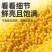 汾都香2025山西5斤黄小米新米农家精品糯小米月子五谷杂粮小