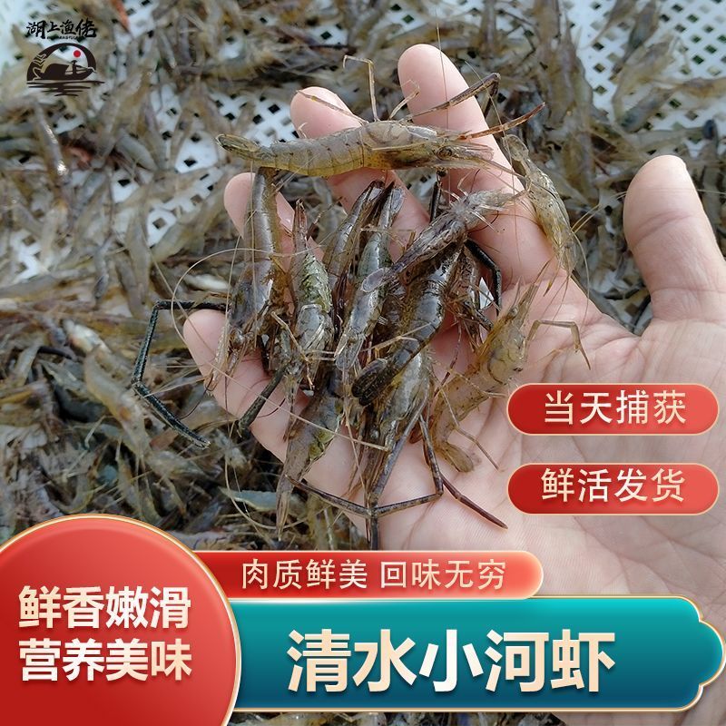 微山湖新鲜小河虾冰鲜小明虾小土虾小河虾鲜活淡水湖速湖虾