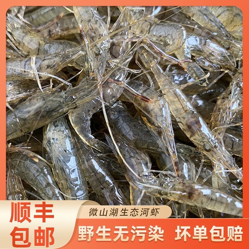 微山湖新鲜小河虾冰鲜小明虾小土虾小河虾鲜活淡水湖速湖虾