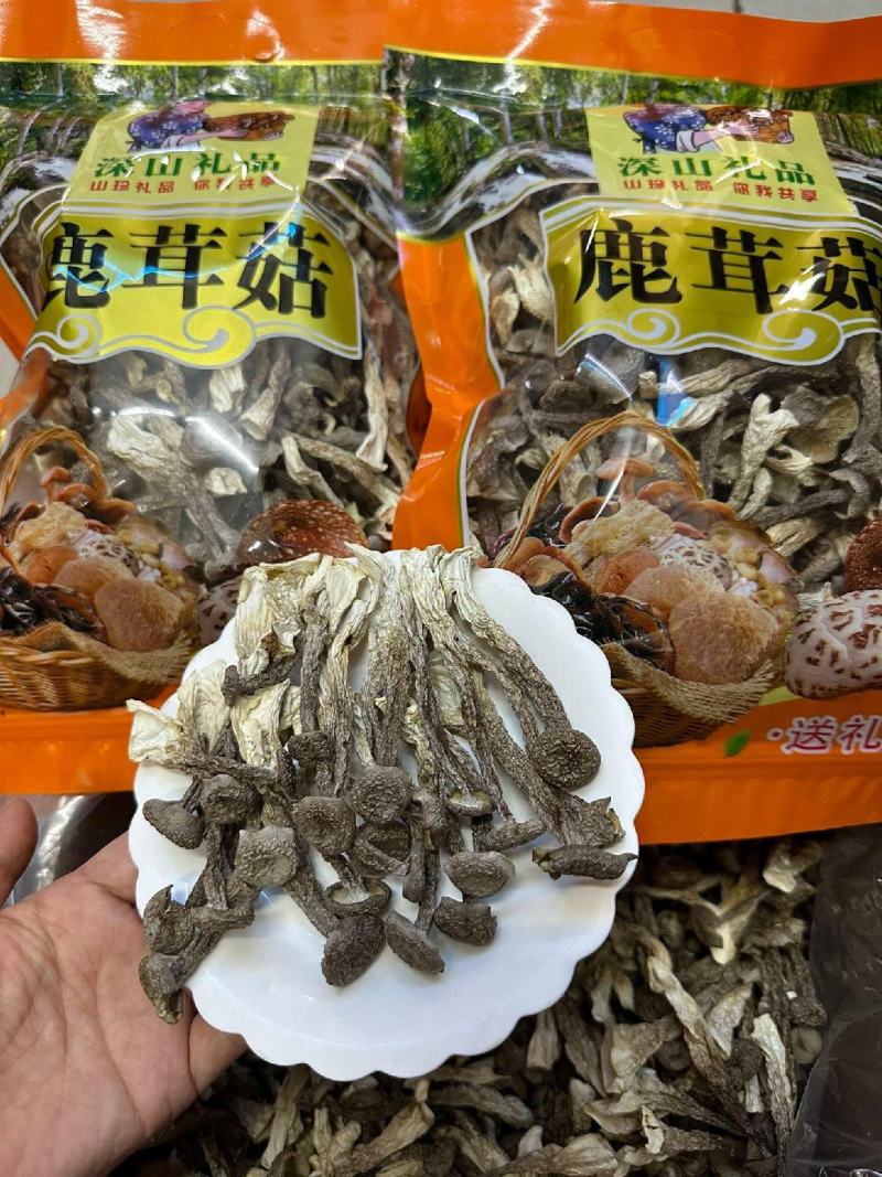 长期批发鹿茸菇，电商也可接