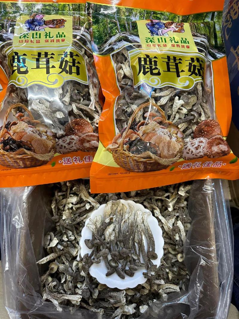 长期批发鹿茸菇，电商也可接