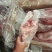 国产羊前腿
