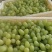 大量果汁，罐头原料，小串葡萄颗粒饱满脆甜无核