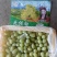 大量果汁，罐头原料，小串葡萄颗粒饱满脆甜无核