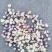 花糯玉米大量出售