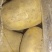 河南冷库精品土豆