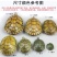 家养小乌龟活体好养活特大迷你招财情侣龟宠物龟活物巴西龟观