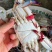 精品大公，中公蟹，精品花脐蟹，大母小母