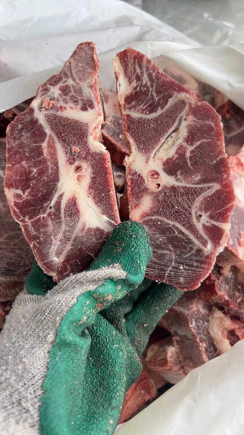 国产公牛满肉牛脖骨