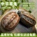 【包活送粮】中华田园龟中华草龟宠物小乌龟招财长寿龟宠