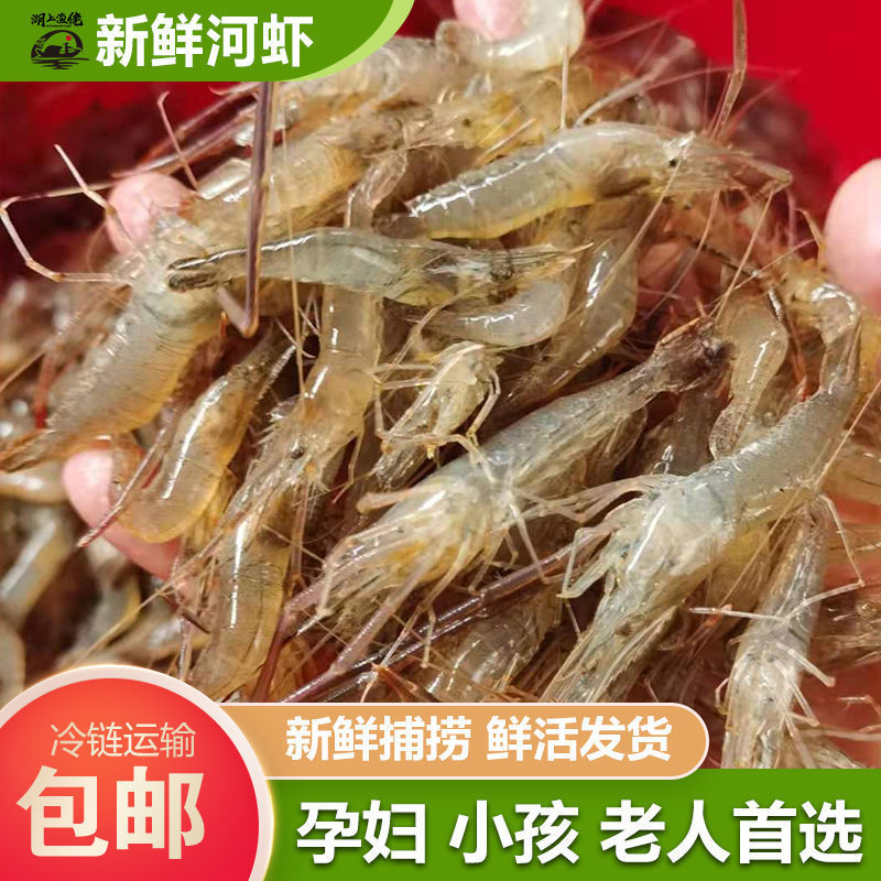 微山湖新鲜小河虾冰鲜小明虾小土虾野生小河虾鲜活淡水湖速湖
