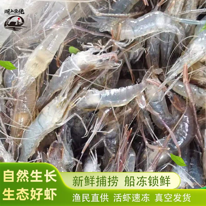 微山湖新鲜小河虾冰鲜小明虾小土虾野生小河虾鲜活淡水湖速湖