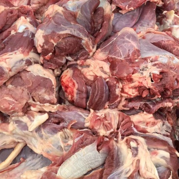 羊腿肉质量好