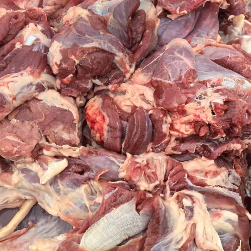 羊腿肉质量好