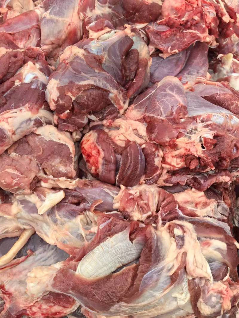羊腿肉质量好
