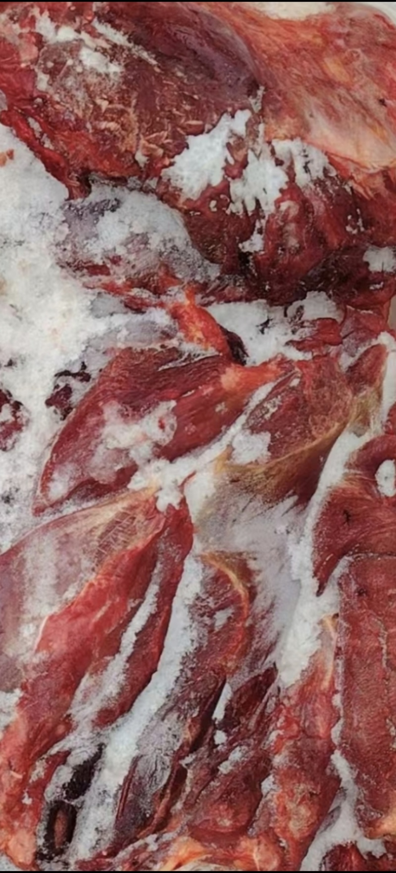 大块鲜牛肉