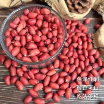 2斤红皮花生米批发农家自产红衣四粒红新货花生东北带壳花生