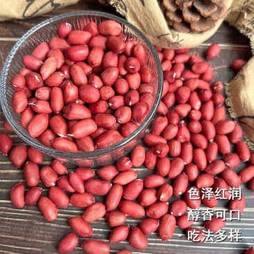 2斤红皮花生米批发农家自产红衣四粒红新货花生东北带壳花生