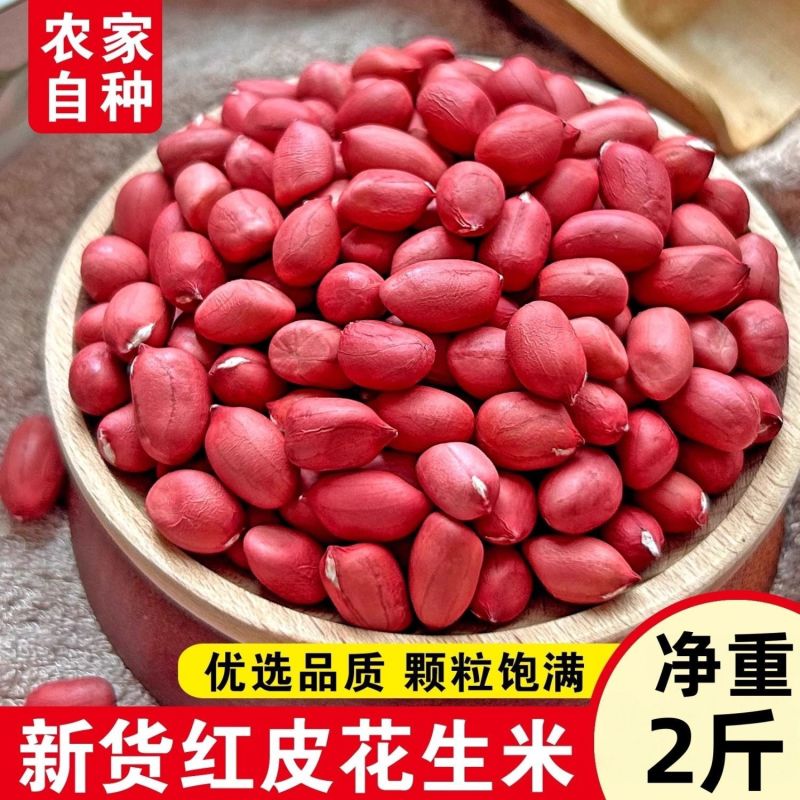 2斤红皮花生米批发农家自产红衣四粒红新货花生东北带壳花生