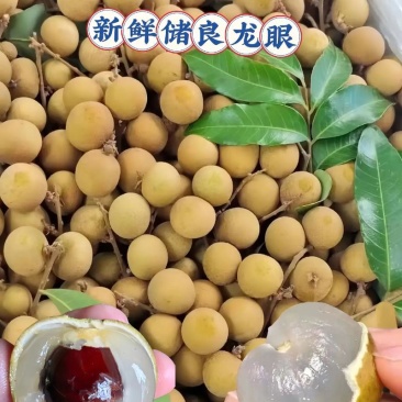 广西龙眼（储良）