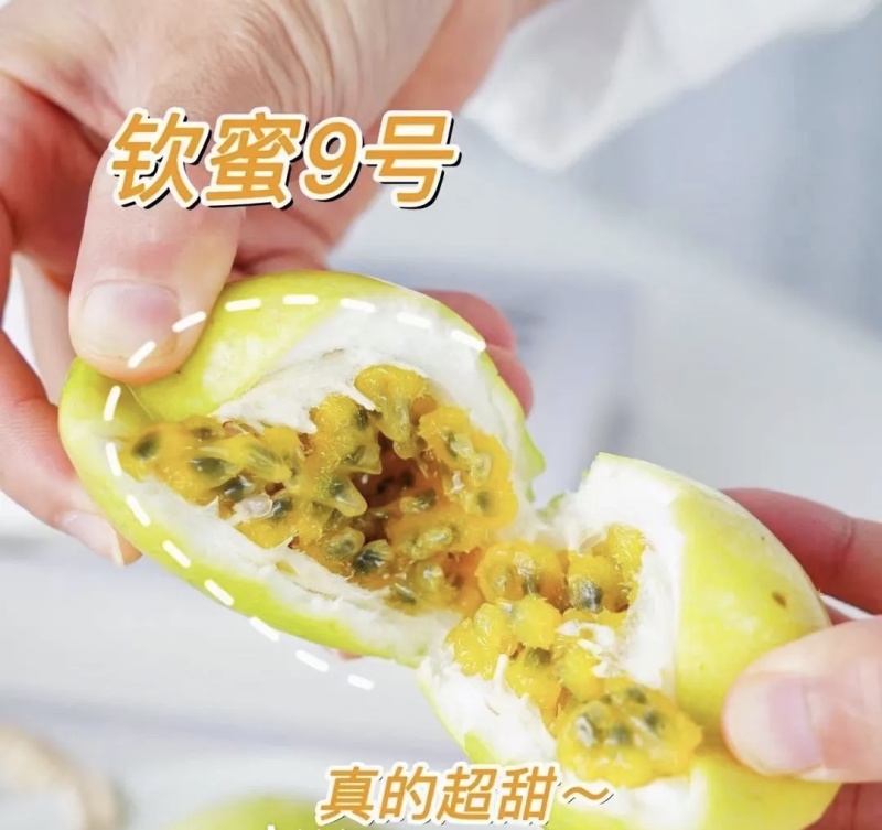 钦密百香果大量有货现摘现发品质优可对接市场商超欢迎来电咨