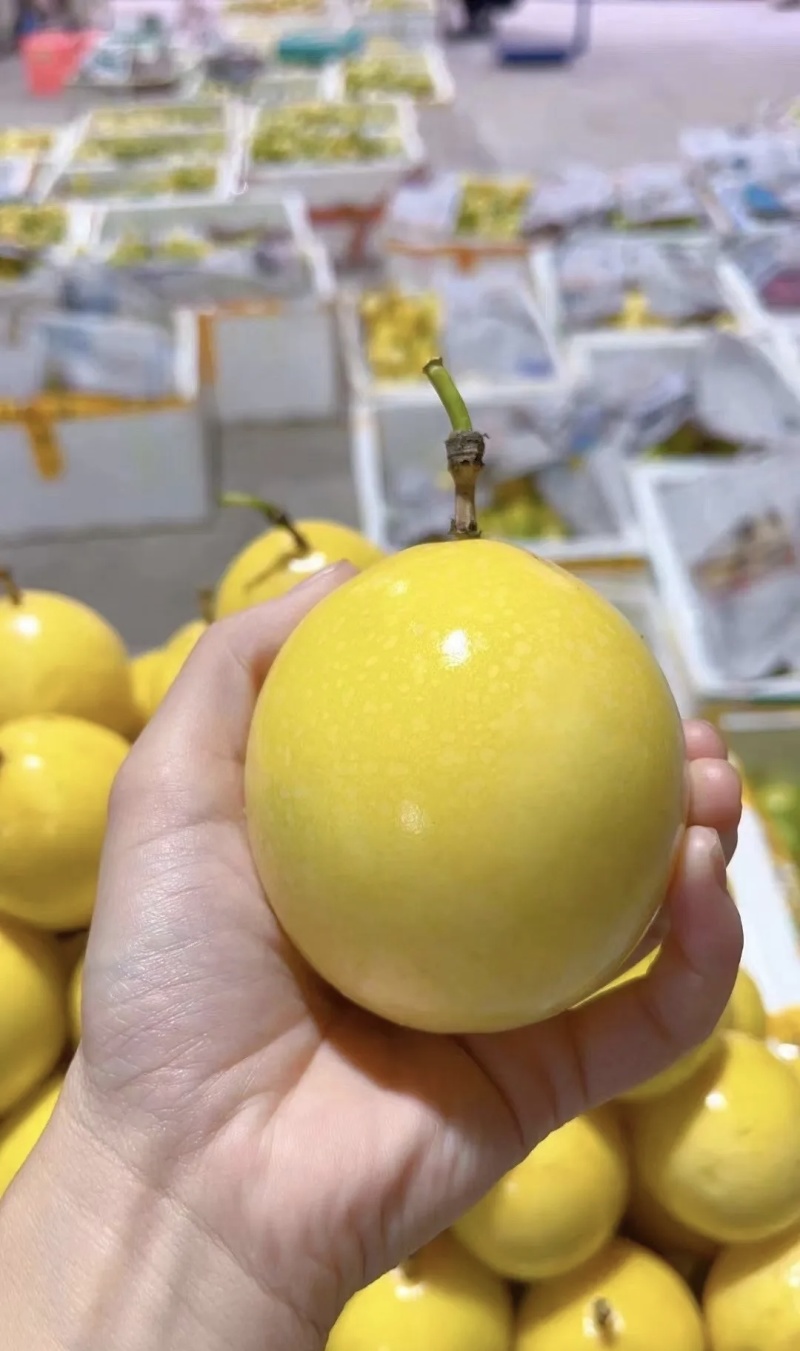 钦密百香果大量有货现摘现发品质优可对接市场商超欢迎来电咨