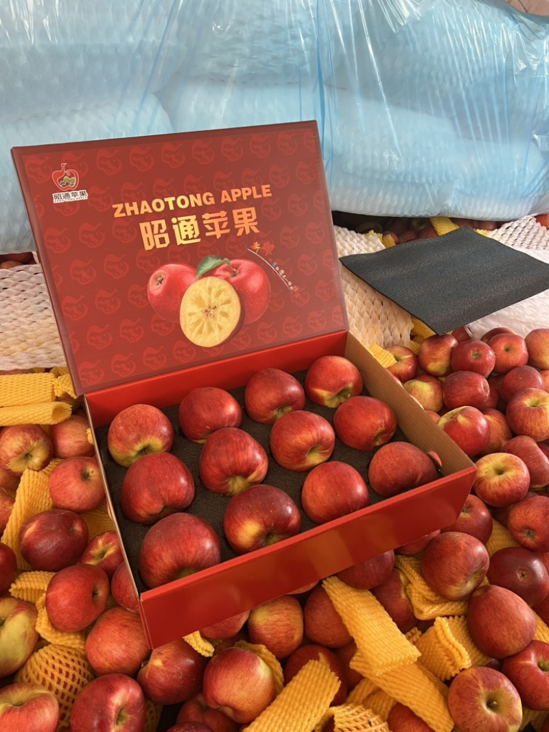 云南昭通红露苹果