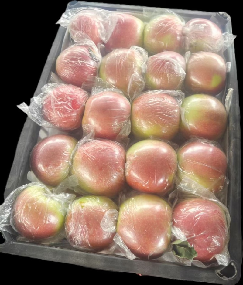 精品美国八号苹果，大量上市中需要的联系