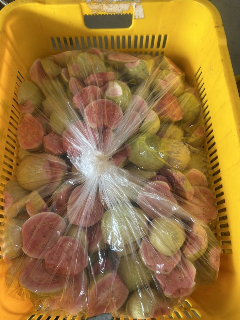 红心芭乐白心芭乐冻块批发