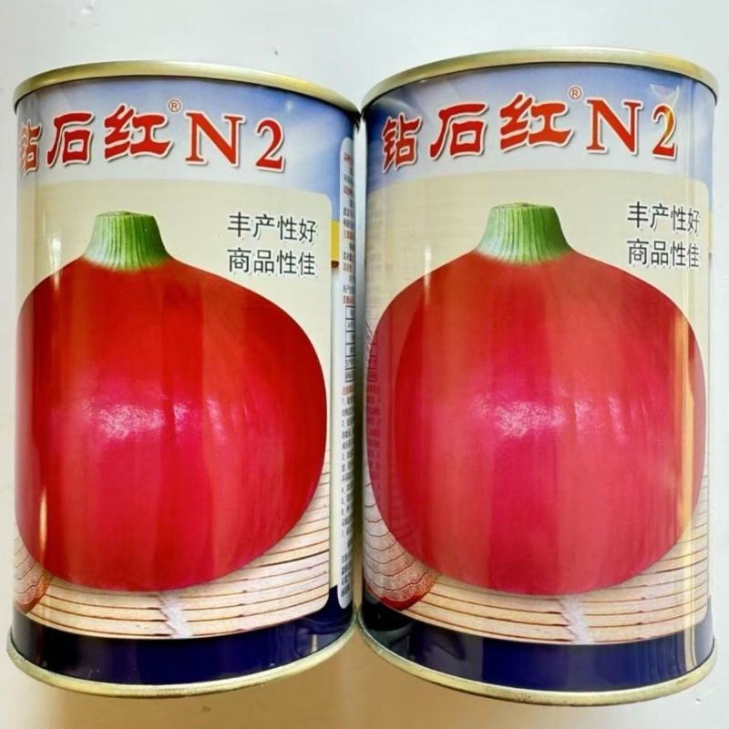 钻石红洋葱种子红皮洋葱种子鲜亮有光泽肉质脆嫩抗病