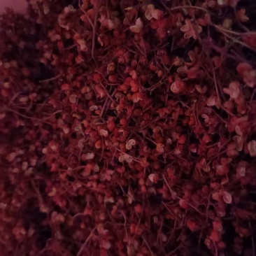 精品花椒