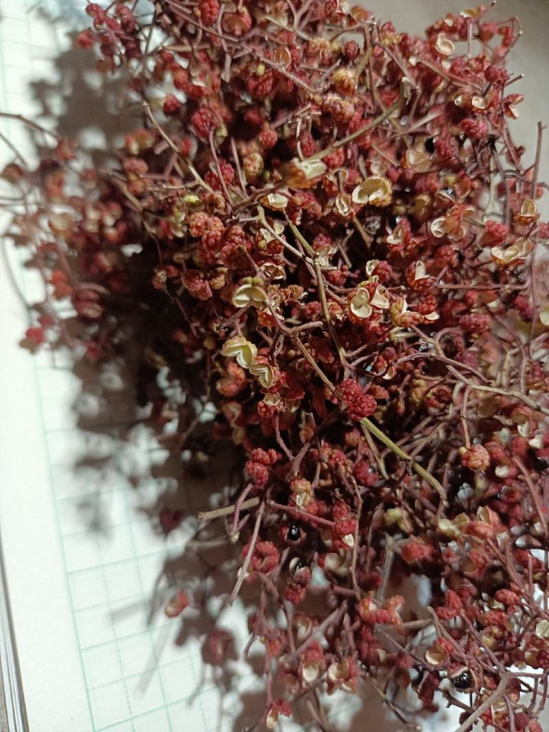 精品花椒