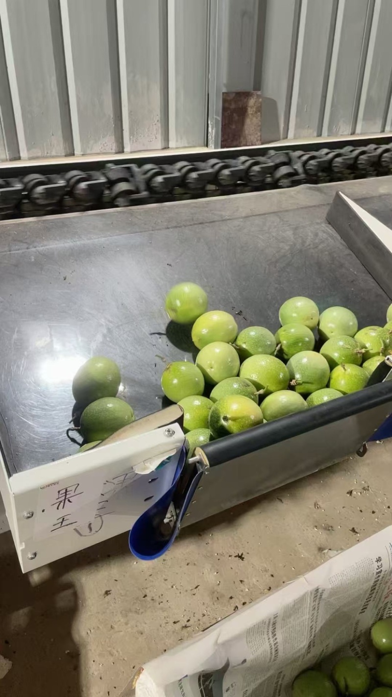 亲蜜9号黄金百香果