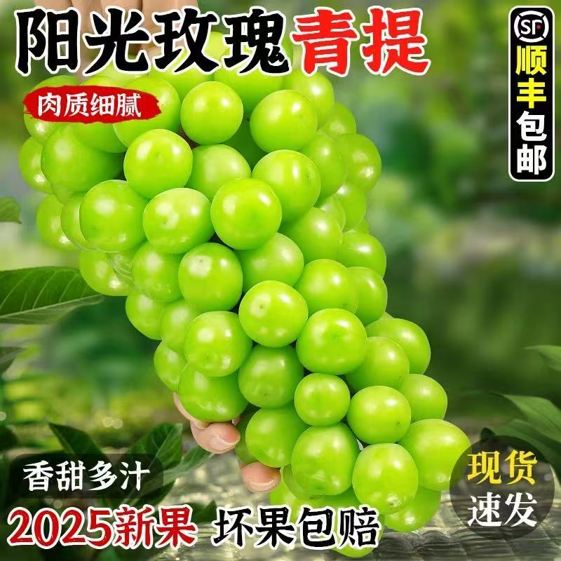 阳光玫瑰，葡萄产地大量现货对接电商团购代发