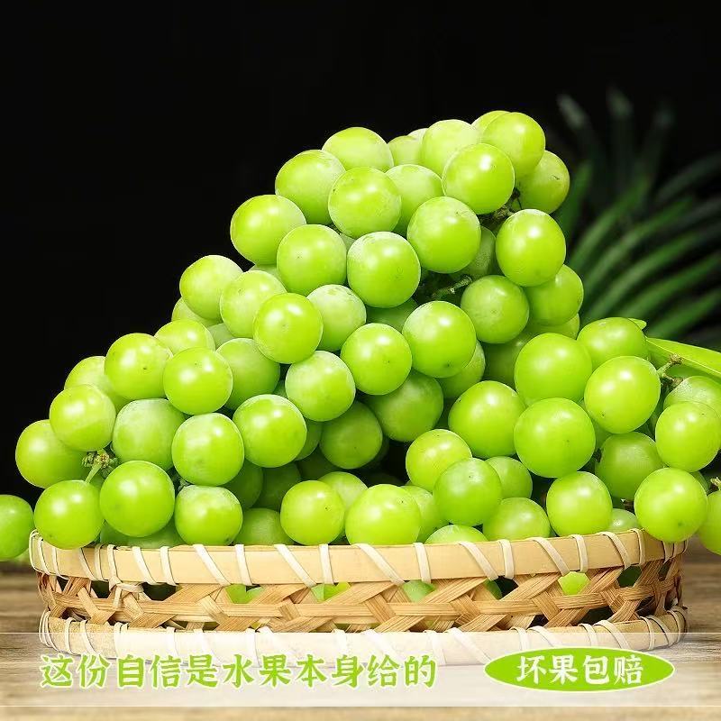 阳光玫瑰，葡萄产地大量现货对接电商团购代发