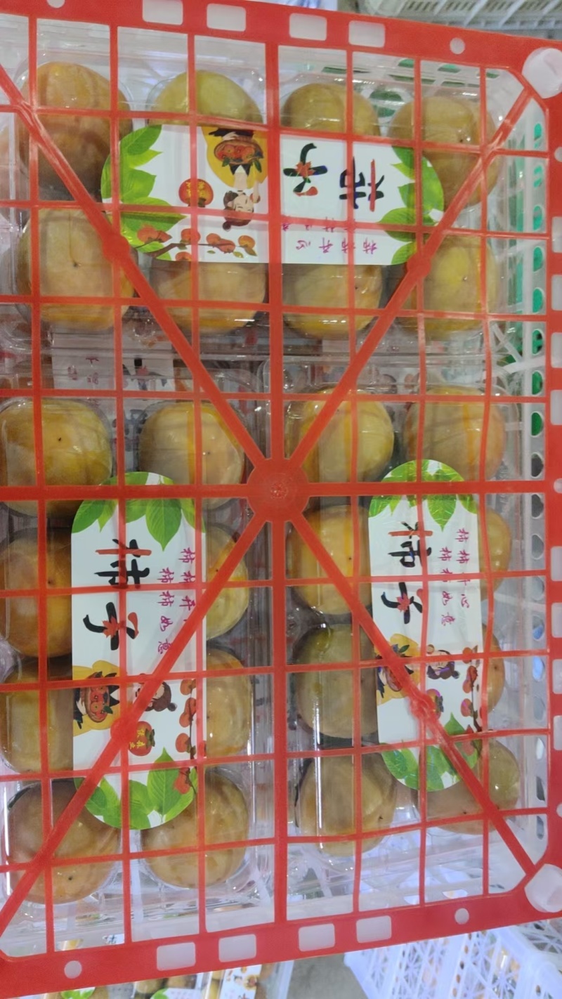 七月黄大量供应
