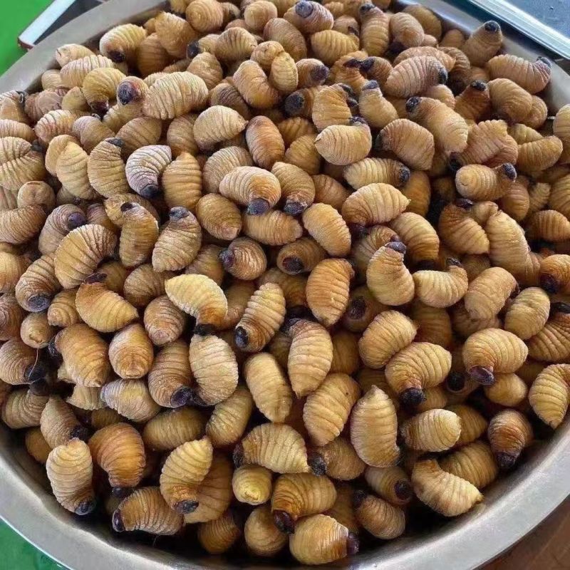 竹虫