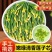 莲子芯100g正品莲子心茶中药材泡水喝非特级天然