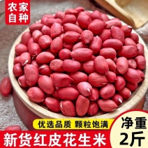 2斤红皮花生米批发农家自产红衣四粒红新货花生东北带壳花生批发
