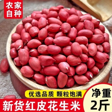 2斤红皮花生米批发农家自产红衣四粒红新货花生东北带壳花生批发