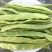 精品刀豆大量供应，全国发货，量大从优，欢迎来电
