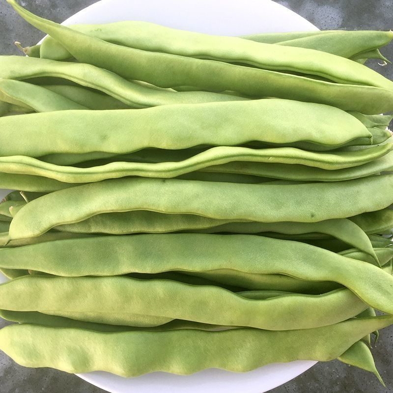 精品刀豆大量供应，全国发货，量大从优，欢迎来电