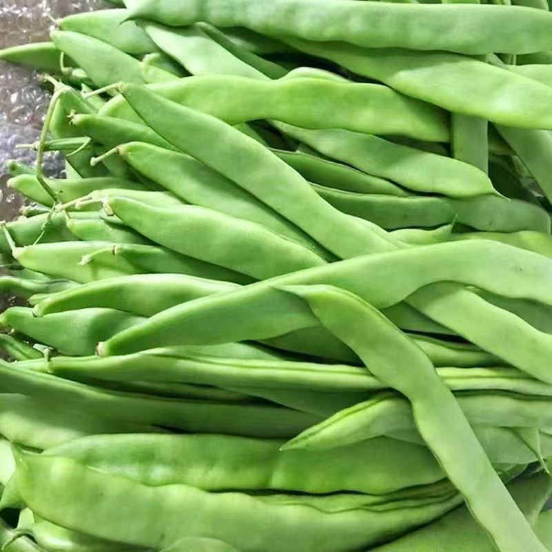 精品刀豆大量供应，全国发货，量大从优，欢迎来电