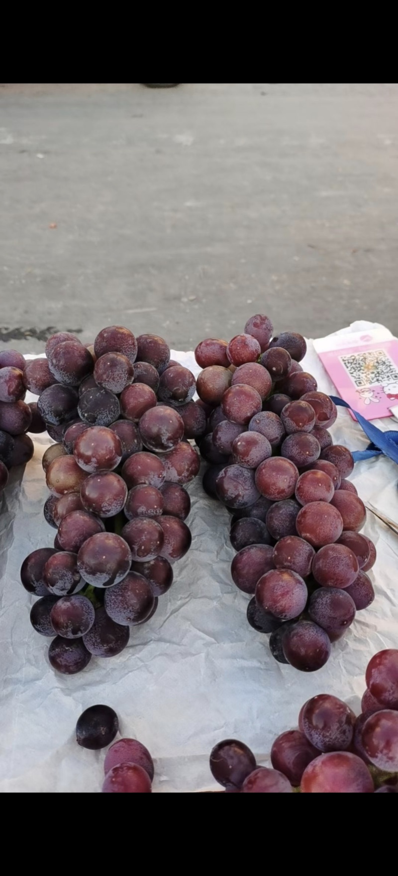 巨玫瑰葡萄