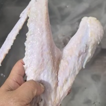 鹅翅